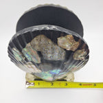 Napkin Letter Holder Abalone Black Shell Ocean Vintage Trends Industries Resin