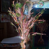 Fiber Optic Easter Tree Lights Eggs Decoration Spring Flowers Plug Color Change