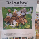 The Great Morel Mushroom Puzzle 550 Piece Michigan USA Rock Trillium Flower