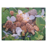 The Great Morel Mushroom Puzzle 550 Piece Michigan USA Rock Trillium Flower