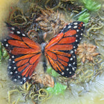 Habersham Candle Co Butterfly Floral Wax Fragrant Garden Flameless 7 Inch USA