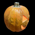 1995 Trendmaster 10 Inch Halloween Jack-O-Lantern Foam Blow Mold Lighted Pumpkin
