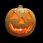 1995 Trendmaster 10 Inch Halloween Jack-O-Lantern Foam Blow Mold Lighted Pumpkin