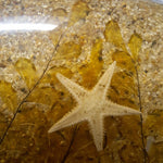 Beach Trivet Sand Starfish Seaweed Acrylic Abalone Mother of Pearl Ocean Nautical