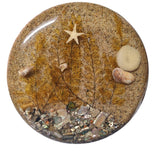 Beach Trivet Sand Starfish Seaweed Acrylic Abalone Mother of Pearl Ocean Nautical