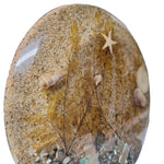 Beach Trivet Sand Starfish Seaweed Acrylic Abalone Mother of Pearl Ocean Nautical