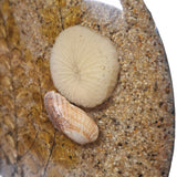 Beach Trivet Sand Starfish Seaweed Acrylic Abalone Mother of Pearl Ocean Nautical