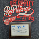 NHL Detroit Red Wings Tee Shirt Gray Womans Small Hockey Michigan Fan Round Neck
