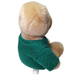 Spartan Sweater Bear atoy Stuffed Animal Small 9 Inch Green Michigan State