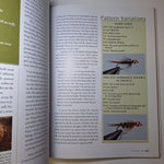 The Orvis Guide Essential American Flies How to Tie Instruction Color Photos