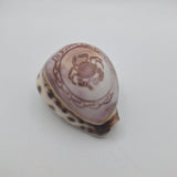 Zodiak Tiger Cowry Seashell Scrimshaw Carved Cancer Crab Cypraea Vintage Beach