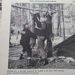 Lot of Over 25 Pages 8x11 Outdoors Qilderness Huntung Fishing Camping Trapping Bears Moose Mountains