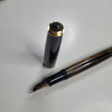 Pelikan Fountain Pen Tortoise Brown Stripe Case Mechanical Pencil Zip Vintage