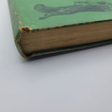 Bruce Book Albert Payson Terhune Hardcover Collie Dog 1920 Origin Story Green