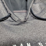 MSU Spartan Michigan State University Hoodie Mens Large 42 44 Green Gray Big Ten