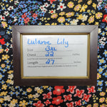 Lularoe Lily Top Shirt Stretch Smocked Sleeves Neckline Womens Plus 3XL Flowers