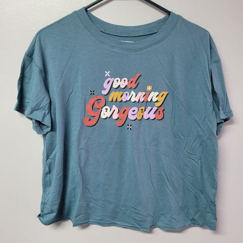 Joyspun Morning Gorgeous Tee Shirt Cropped Soft Womens Small Short Sleeve Blue