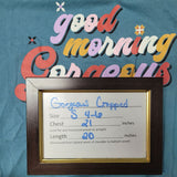 Joyspun Morning Gorgeous Tee Shirt Cropped Soft Womens Small Short Sleeve Blue