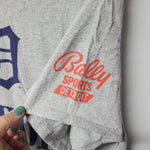 Bally Sports Detroit Tigers Baseball Roots Mens Large Tee Shirt Gray Blue Mich