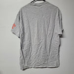 Bally Sports Detroit Tigers Baseball Roots Mens Large Tee Shirt Gray Blue Mich