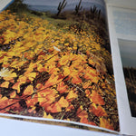 Arizona Highways December 1972 Holiday Seasons Greetings Christmas Snow Cactus