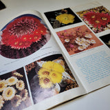 Arizona Highways December 1972 Holiday Seasons Greetings Christmas Snow Cactus