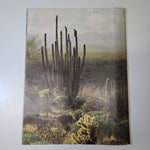 Arizona Highways December 1972 Holiday Seasons Greetings Christmas Snow Cactus