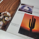 Arizona Highways September 1975 Sunset Cactus Cave Rock Formations Vintage Art