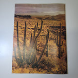 Arizona Highways September 1975 Sunset Cactus Cave Rock Formations Vintage Art