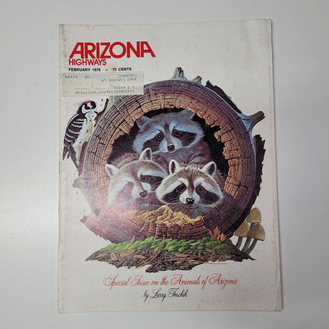 Arizona Highways Artwork Magazine February 1976 Larry Toschik Bobcat Deer Fawn