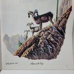 Arizona Highways Artwork Magazine February 1976 Larry Toschik Bobcat Deer Fawn