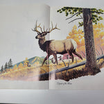 Arizona Highways Artwork Magazine February 1976 Larry Toschik Bobcat Deer Fawn