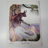 Arizona Highways Artwork Magazine February 1976 Larry Toschik Bobcat Deer Fawn