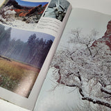 Arizona Highways Artwork Magazine January 1976 Spirit Centennial Vintage History