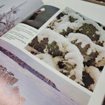 Arizona Highways Artwork Magazine March 1976 Vintage History Weather Seasons Ice