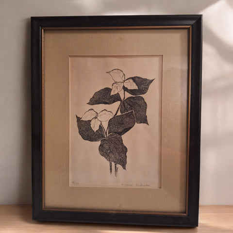 Limited Edition Annarae Anderson Botanical Art Print 28 of 500 Frame Black White