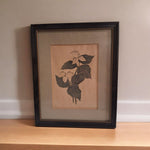 Hand Signed Annarae Anderson Print 25 of 500 Botanical Illustration Black Frame