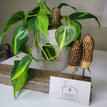 Set of 3 Morel Mushroom Plant Stakes Houseplants Metal Wood Carved Merchroom Forage