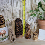 Mixed set of Carved Morel Merchrooms Variety Pack Plant Stake Decor Mushroom